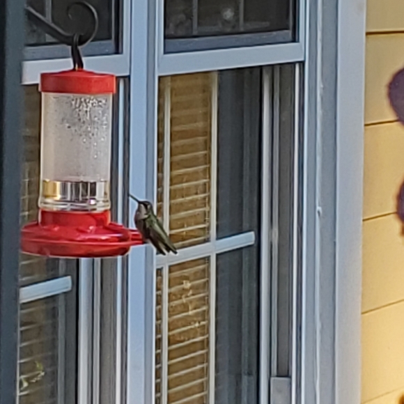 Meet your Posher, Teresa - Picture 9 of 16